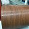 Προβερνικωμένη χάλυβα ντυμένη χρώμα σπείρα χάλυβα χάλυβα γαλβανισμένη PPGI 0,12 - 6.0mm